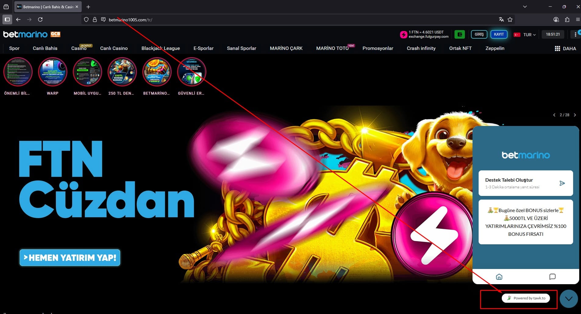 sahte site destek arayüzü